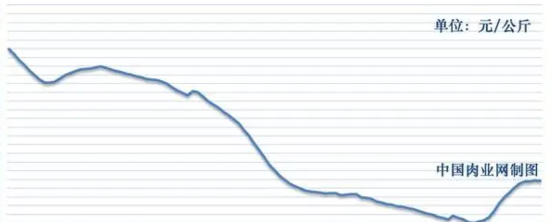 羊肉“崩”了！2月4日跌破11元，卖羊还是留着过年？答案来了